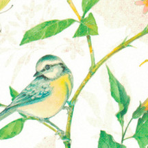 Birds, Butterflies and Flowers Print Italian Paper ~ Tassotti